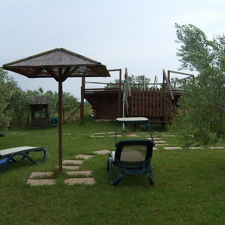 Agriturismo Il Forasacco Grosseto Buitenkant foto