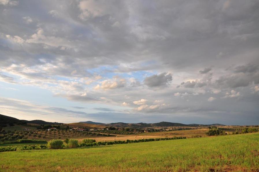 Agriturismo Il Forasacco Grosseto Buitenkant foto