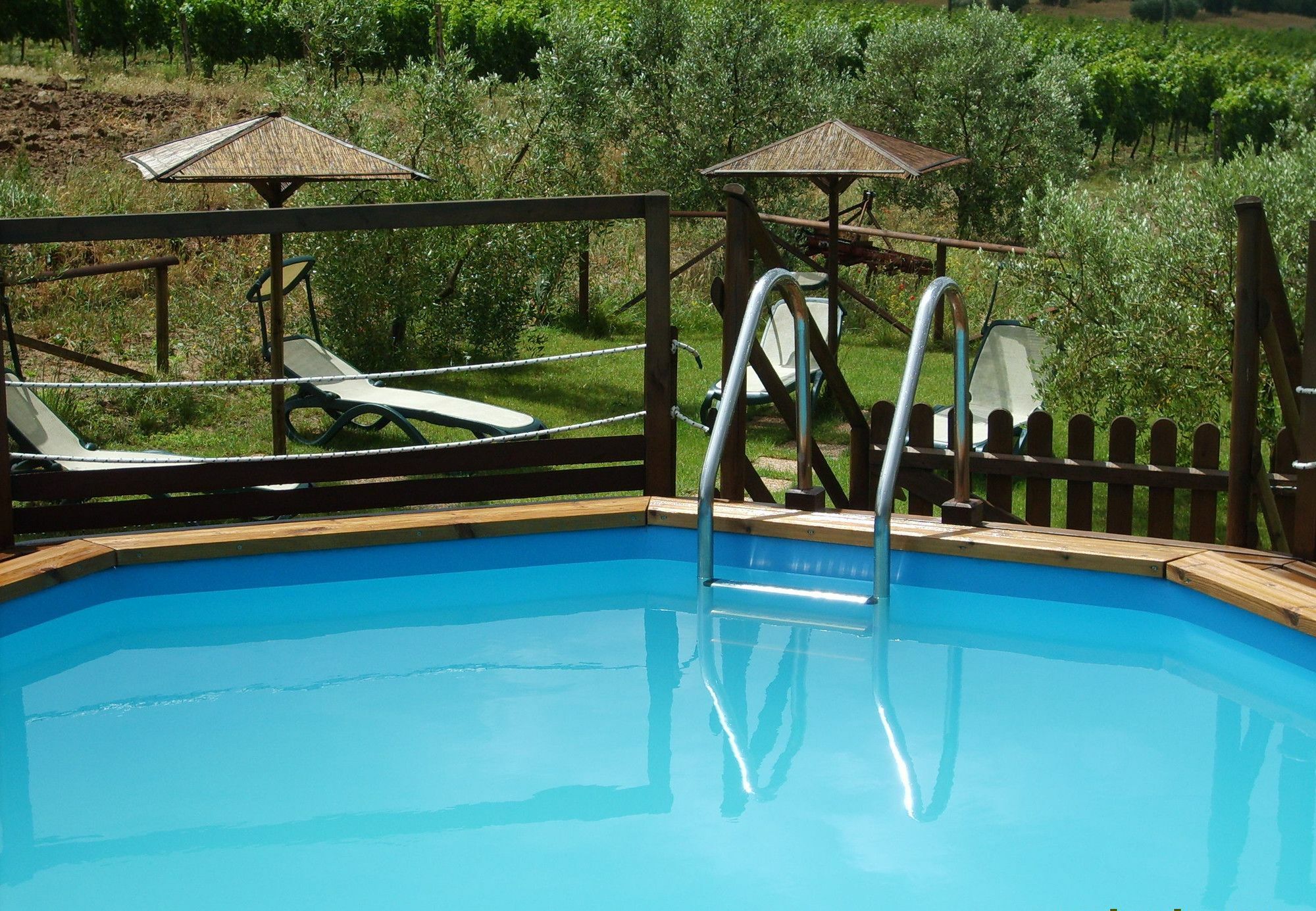 Agriturismo Il Forasacco Grosseto Buitenkant foto